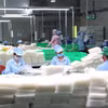 Công nhân phân loại bánh tráng của Công ty TNHH Tân Nhiên thường xuyên tăng ca. (Ảnh: Thanh Tân/TTXVN)