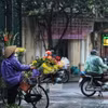 Cuộc sống mưu sinh của người dân gặp khó khăn hơn trong hình thái thời tiết mưa kèm nồm ẩm. (Ảnh: Tuấn Anh/TTXVN)