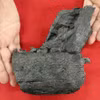 Hóa thạch xương hàm dưới của một loài khủng long tyrannosaurid được tìm thấy ở Amakusa, tỉnh Kumamoto, trong một lớp đất được hình thành vào Kỷ Phấn trắng muộn ở phía Tây Nam Nhật Bản. (Nguồn: Kyodo)
