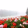 Thủ đô Hà Nội nhiều mây, sáng và đêm có mưa phùn và sương mù. (Ảnh: Nhật Anh/TTXVN)