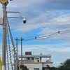 Phú Quốc ra mắt 6 camera giám sát các trường hợp đổ rác thải sai quy định.(Nguồn: Tiền Phong)