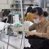 Một thực tập sinh Việt Nam tại Nhật Bản. (Ảnh: Đào Thanh Tùng/TTXVN) 