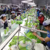 May hàng xuất khẩu tại một doanh nghiệp vốn đầu tư nước ngoài ở Bình Phước. )Ảnh tư liệu: Dương Chí Tưởng/TTXVN)