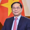 Bộ trưởng Ngoại giao Bùi Thanh Sơn. (Ảnh: TTXVN phát)
