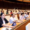 Các đại biểu Quốc hội biểu quyết thông qua một dự án luật. (Ảnh: Trọng Đức/TTXVN)