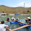 Ngư dân đan lại lưới, sửa bè để chờ có con giống thả lại. (Ảnh: Thanh Vân/TTXVN)