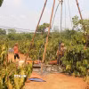 Ảnh minh họa. (Nguồn: TTXVN)