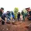 Thủ tướng Phạm Minh Chính trồng cây tại Lễ phát động “Tết trồng cây Đời đời nhớ ơn Bác Hồ.” (Ảnh: Dương Giang/TTXVN)