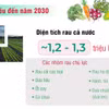 Việt Nam đặt mục tiêu nâng kim ngạch xuất khẩu rau lên 1-1,5 tỷ USD vào 2030 