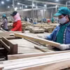 Chế biến gỗ xuất khẩu. (Nguồn: TTXVN) 