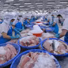 Công nhân chế biến thủy sản xuất khẩu. (Ảnh: Đức Duy/Vietnam+)