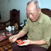 Cựu chiến binh Đỗ Tiến được tặng thưởng nhiều Huân chương, Huy chương khi tham gia chiến đấu trong chiến dịch Điện Biên Phủ. (Ảnh: Quang Cường/TTXVN)