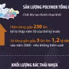OECD: Thế giới đối mặt với lượng rác thải nhựa khổng lồ 