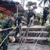Lực lượng Biên phòng Cô Tô giúp người dân chằng chống tàu thuyền tại nơi neo đậu an toàn. (Ảnh: TTXVN phát)