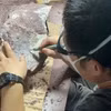 Tảng đá chứa hóa thạch xương khủng long được phát hiện ở Đảo Cảng của Hong Kong. (Ảnh: AP)