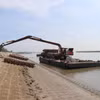 Tiền Giang: Nỗ lực khôi phục rừng phòng hộ, bảo vệ đê biển Gò Công