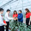 Agribank dành 250.000 tỷ đồng tháo gỡ khó khăn, cung ứng vốn nền kinh tế. (Ảnh: Vietnam+)