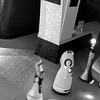 Các con robot rủ nhau "trốn việc về nhà." (Nguồn: Douyin)