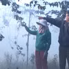 Đắk Nông: Xử phạt 130 triệu đồng doanh nghiệp sấy càphê ô nhiễm môi trường