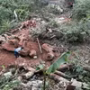Rừng nghiến hàng trăm năm tuổi ở bản Séo Lèng 2, xã Phìn Hồ, huyện Sìn Hồ, tỉnh Lai Châu bị chặt phá tan hoang. (Ảnh: Nhóm phóng viên TTXVN)