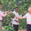 Nhiều mô hình sinh kế hiệu quả được hình thành từ nguồn vốn tín dụng chính sách. (Ảnh: Tường Vi/TTXVN)