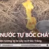 Bí ẩn hiện tượng giếng nước bốc cháy ở Sóc Trăng khiến nhiều người đổ xô đi xem 