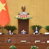 Quốc hội làm việc sáng nay, 28/11. (Ảnh: CTV/Vietnam+)