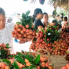 Sản phẩm vải thiều được công nhận OCOP giới thiệu tại siêu thị. (Ảnh: Phương Anh/TTXVN)