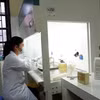 Nhân viên y tế tuyến cơ sở thực hiện các xét nghiệm nhanh tại chỗ, xét nghiệm Gene Xpert để phát hiện lao và lao kháng thuốc. (Ảnh: PV/Vietnam+)