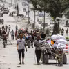 Người dân Palestine sơ tán từ Jabalia, miền Bắc Dải Gaza tới thành phố Gaza ngày 24/5/2024. (Ảnh: THX/TTXVN)