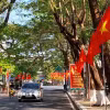 Cờ hoa rực rỡ trên đường phố Cà Mau. (Ảnh: Kim Há/TTXVN)