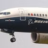 Máy bay 737 MAX 8 jet. (Nguồn: IC)