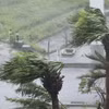 Gió mạnh kèm theo mưa do ảnh hưởng của bão Khanun tại Okinawa, Nhật Bản. (Ảnh: Kyodo/TTXVN)