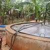 Lào Cai: Hai người tử vong vì ngạt khí từ hầm biogas