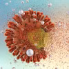 Bắt đầu thử nghiệm lâm sàng vaccine ngừa HIV tại Mỹ và Nam Phi