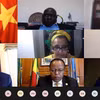 Việt Nam chủ trì phiên họp của Ủy ban của Hội đồng Bảo an LHQ về Nam Sudan ngày 29/1/2021. (Ảnh: Khắc Hiếu/TTXVN)
