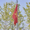 Đoàn Thể thao Người Khuyết tật Việt Nam tại Asian Para Games 2023. (Nguồn: Vietnam+)
