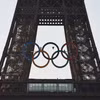 Biểu tượng Olympic được dựng trên tháp Eiffel ở thủ đô Paris, Pháp, ngày 7/6/2024. (Ảnh: THX/TTXVN)