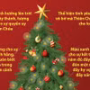 Tìm hiểu về cây thông Noel - biểu tượng cho Lễ Giáng sinh