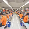 Doanh nghiệp đón bắt cơ hội thị trường để đẩy mạnh xuất khẩu. (Ảnh: Đức Duy/Vietnam+)