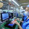 Đáp ứng các tiêu chuẩn cao tạo đà cho hàng hóa nâng cao sức cạnh tranh. (Ảnh: Đức Duy/Vietnam+)