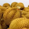 Sầu riêng xuất khẩu đi Trung Quốc. (Ảnh: Hồng Đạt/TTXVN)