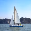 Đua thuyền buồm là loại hình thể thao mới mẻ đang nhận được sự quan tâm lớn từ cộng đồng trong nước và quốc tế. (Ảnh: Hoài Nam/Vietnam+)