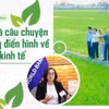 WB: Việt Nam là câu chuyện thành công điển hình về phát triển kinh tế
