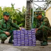 Lực lượng Bộ đội Biên phòng tỉnh Đồng Tháp thu giữ thuốc lá lậu. (Ảnh: Nhựt An/TTXVN)