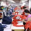 Doanh nghiệp may có vốn đầu tư FDI tại An Giang. (Ảnh minh họa: TTXVN)