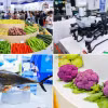 Hội chợ Thương mại quốc tế về nông sản nhiệt đới ở Hải Nam thu hút 2.200 doanh nghiệp tham gia