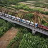 Đoàn tàu của Tổng công ty Đường sắt Việt Nam đi qua chầu Long Biên. (Ảnh: Thành Đạt/TTXVN)