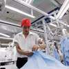 Sản xuất ngành dệt may xuất khẩu tại một doanh nghiệp tư nhân. (Ảnh: Đỗ Phương Anh/TTXVN)