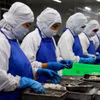 Chế biến tôm xuất khẩu tại một công ty thuộc Khu công nghiệp Vĩnh Lộc, huyện Bình Chánh, Thành phố Hồ Chí Minh. (Ảnh: Hồng Đạt/TTXVN)